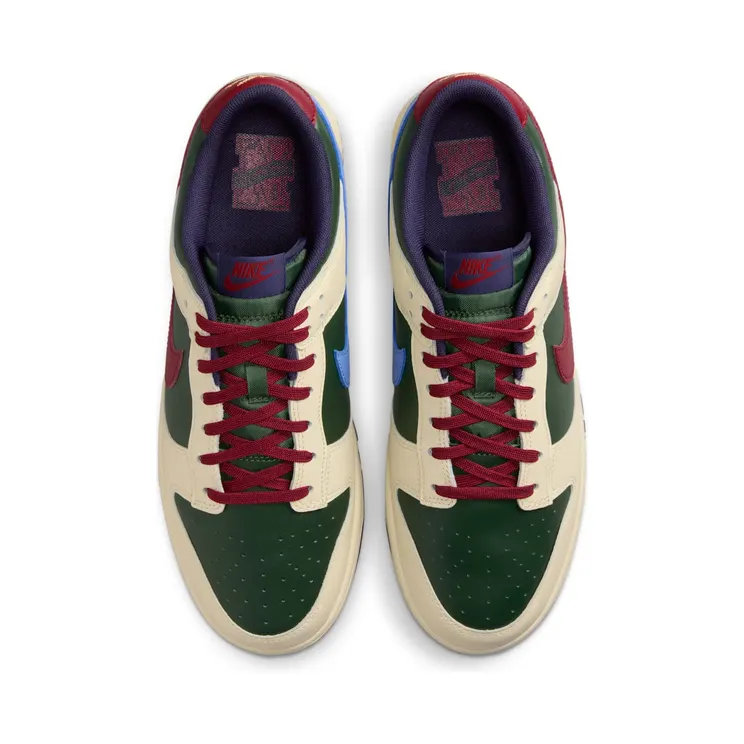 nike-dunk FV8106-361