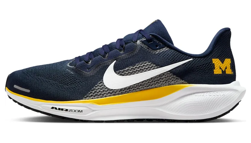 Nike Air Zoom IB3269-400