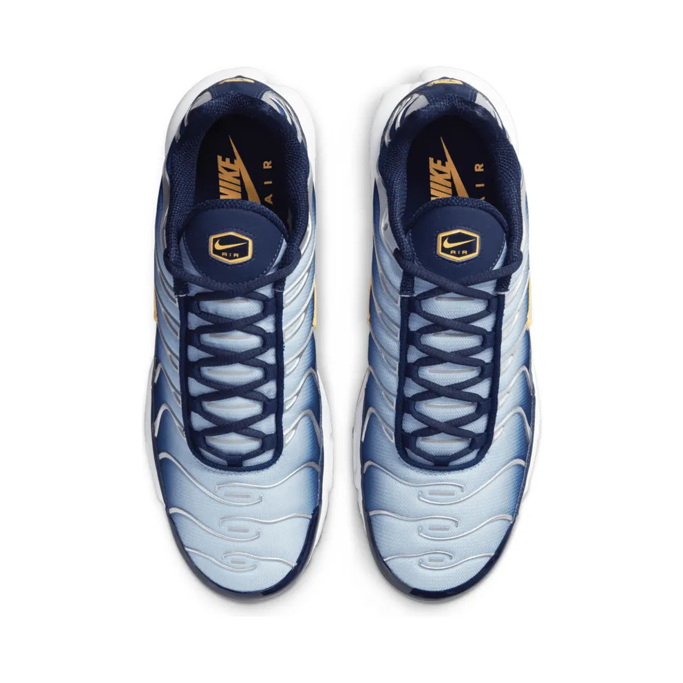 Nike Air Max Plus Blue (DM3530-400)