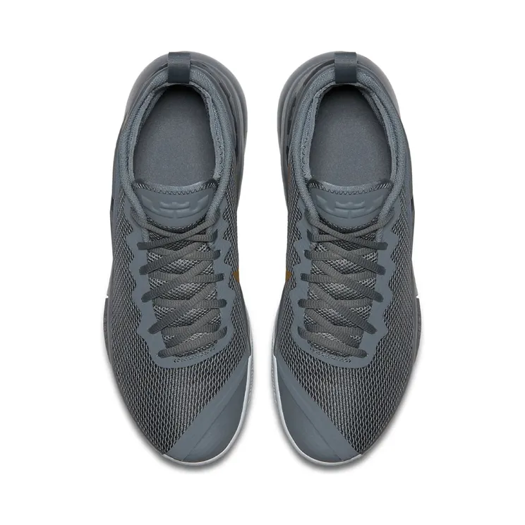 lebron-witness-2 942518-009