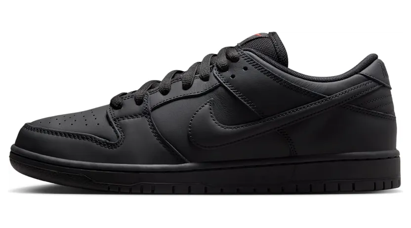 Nike SB Dunk FJ1674-001