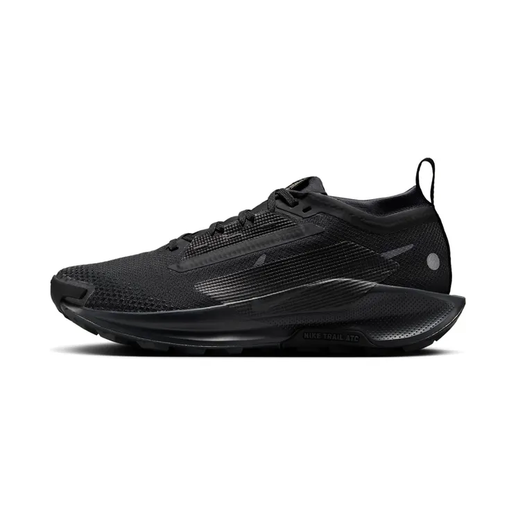 Nike Pegasus Trail 5 GORE-TEX “Black / Anthracite” (FQ0912-002)