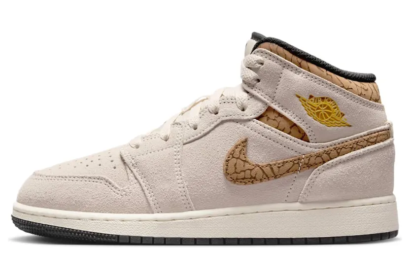 Air Jordan 1 Mid DZ5369-102