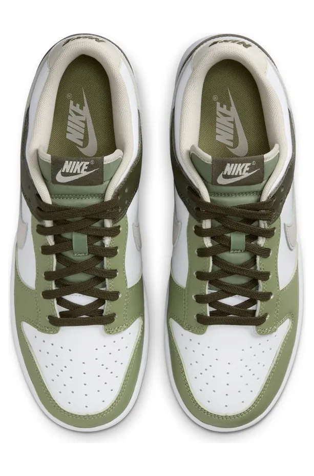 nike-dunk FN6882-100