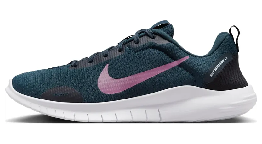 Nike Flex Experience Run 12 Armory Navy Black Football Grey Plum Dust (DV0746-401)
