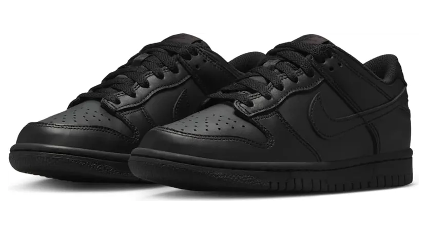nike-dunk FB9109-009
