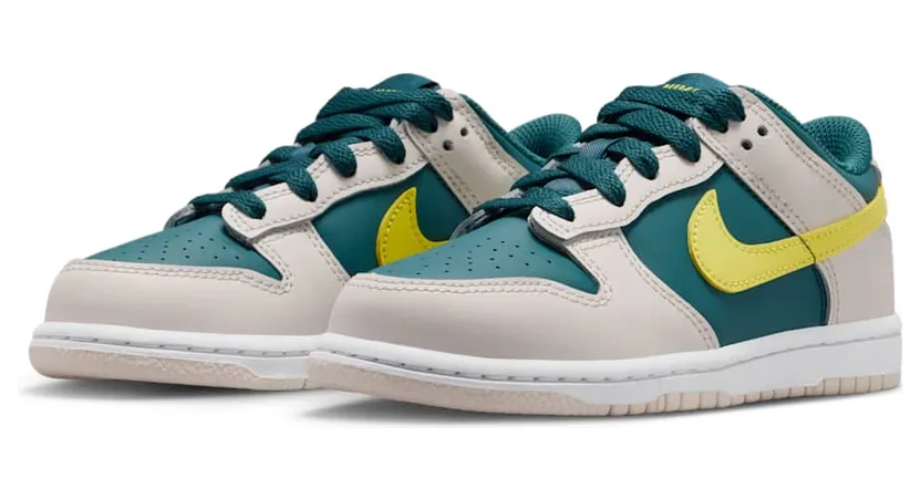 nike-dunk FB9108-303