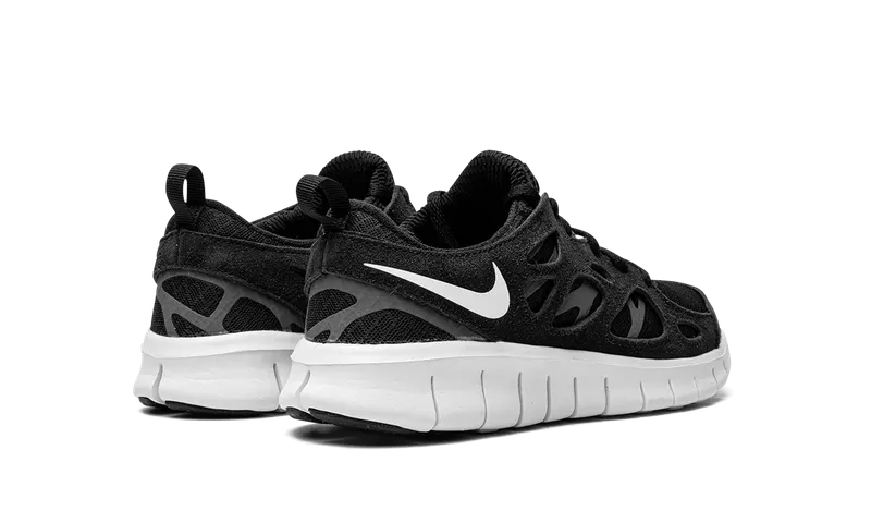 Nike Free Run 2 (GS) “Dark Grey” (DD0163-004)
