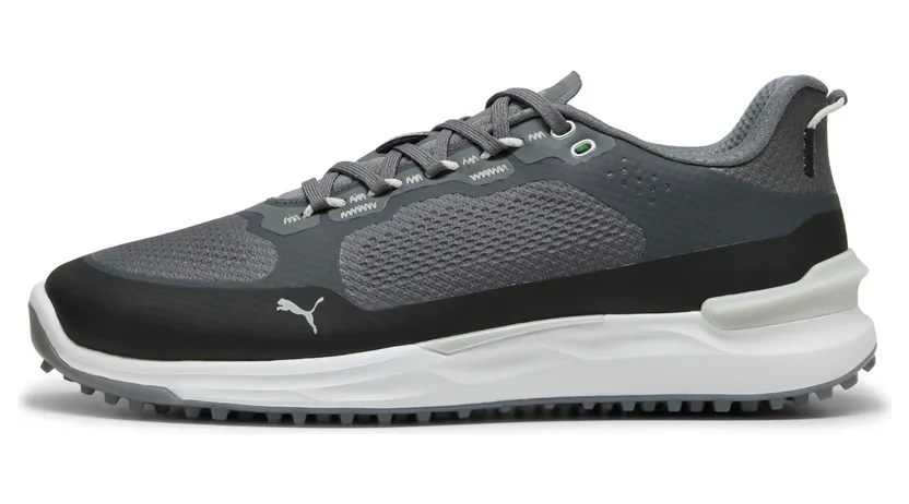 Puma Ignite 310221_08