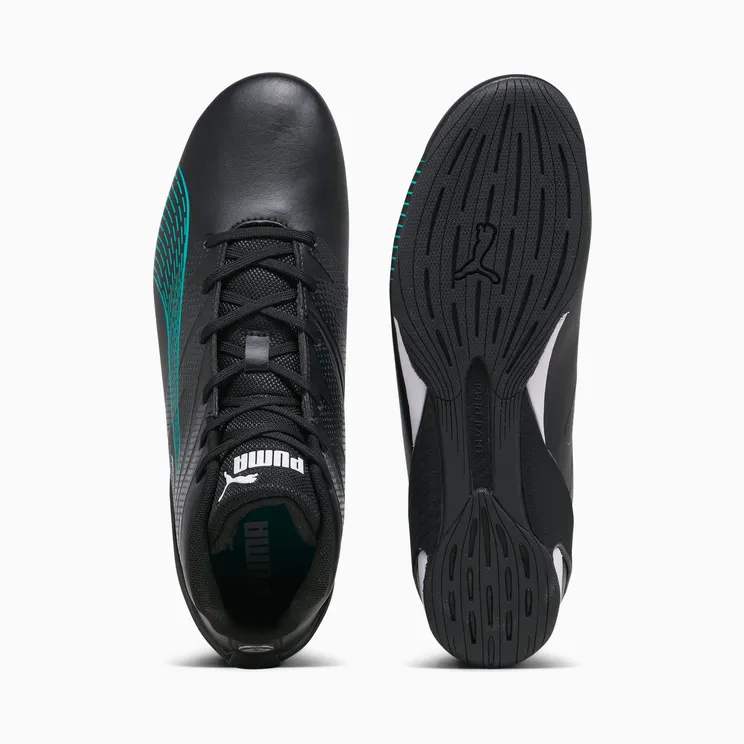 puma-carbon-cat 307544-02