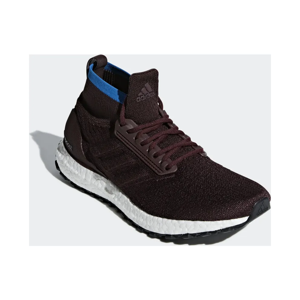 adidas Ultra Boost All Terrain Night Red Bright Blue Night Red/Noble Maroon/Bright Blue (CM8255)