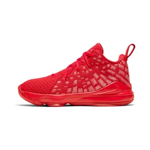 Nike LEBRON XVII (PS) YOUNG ATHLETES SPORT (BQ5595-600)