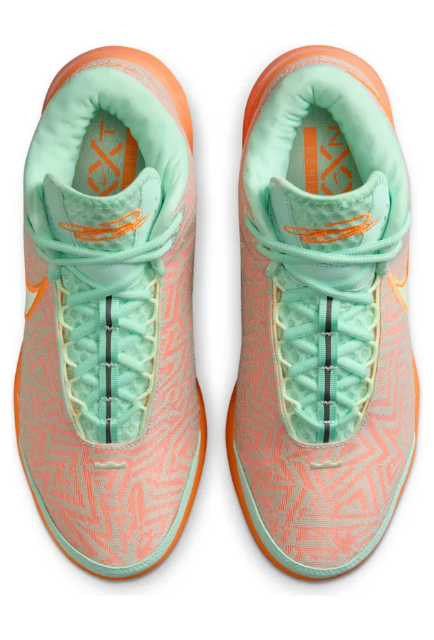 nike-lebron HF0712-301