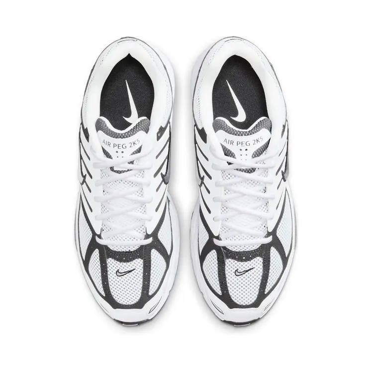 nike-air-pegasus FJ1909-100