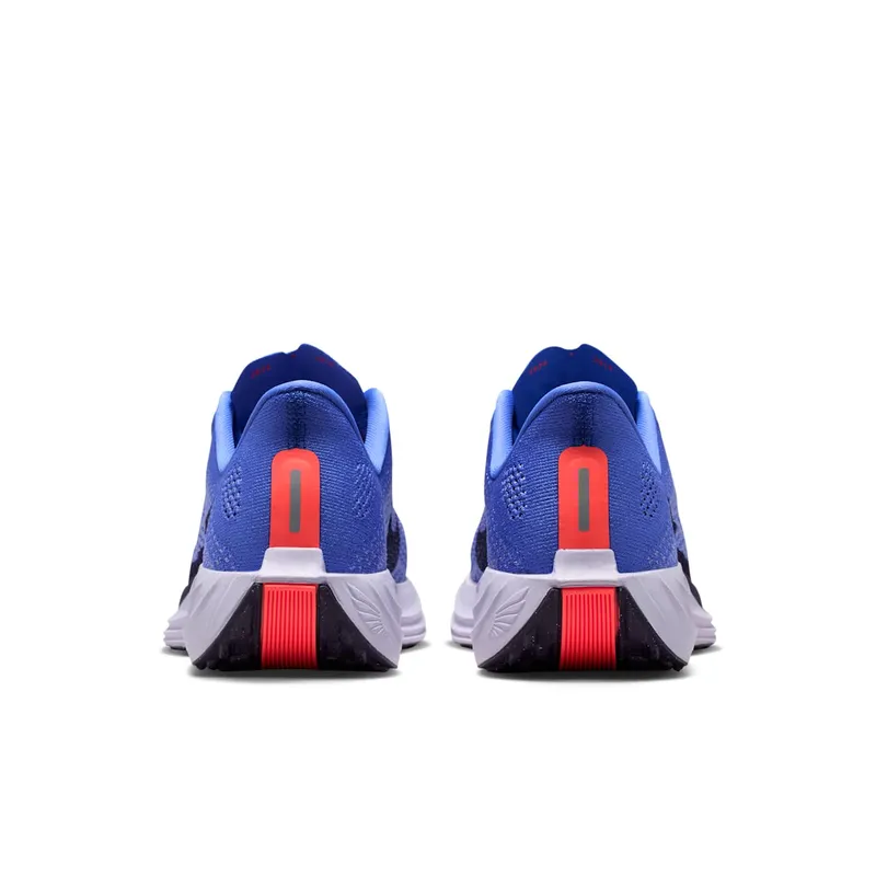 Nike Pegasus Sapphire/Light Thistle/Violet Mist/Purple Dynasty (FQ7261-503)