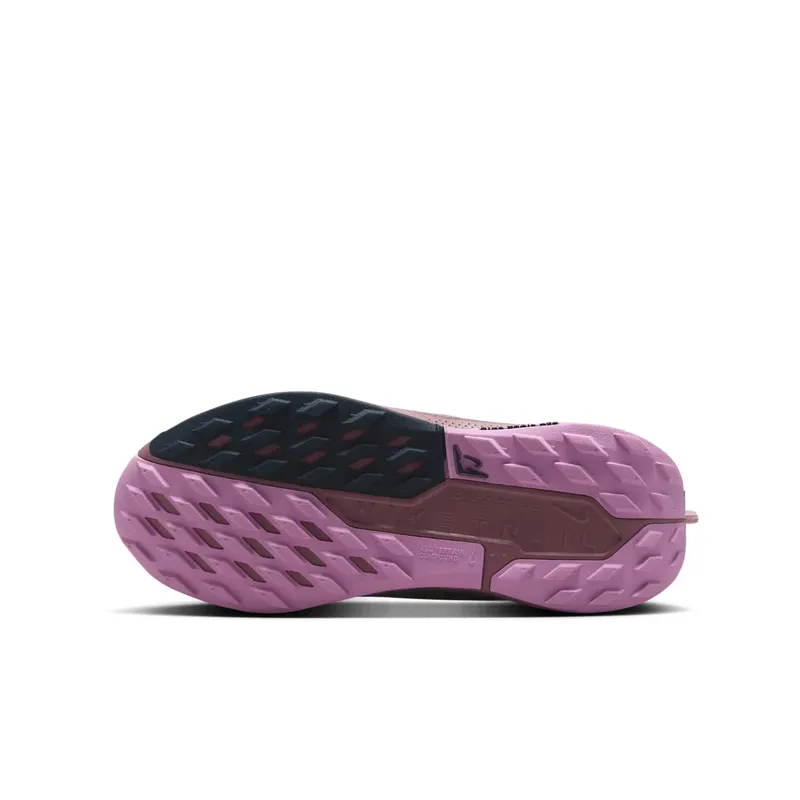 Nike Pegasus Trail 5 Plum Dust Platinum Violet Beyond Pink Metallic Silver (FV5638-500)