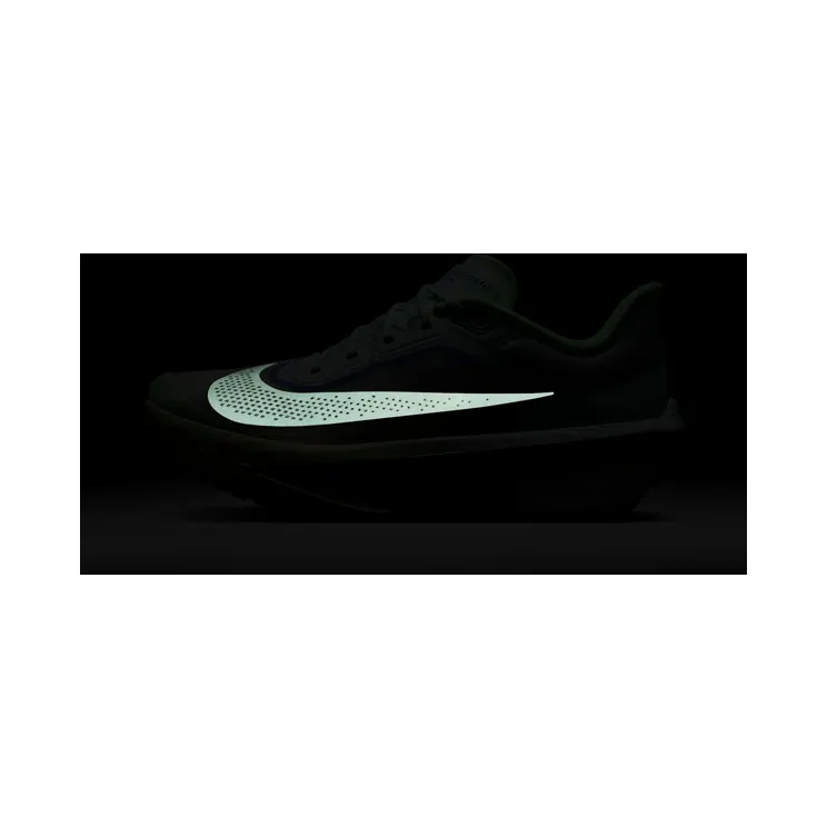nike-zoom FN8454-300
