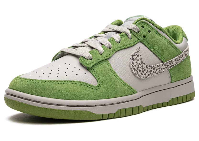 nike-dunk DR0156-300