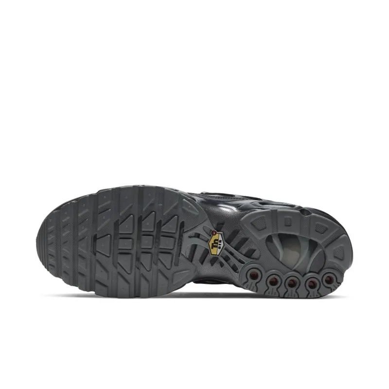 Nike Air Max Plus Black (DH4100-001)