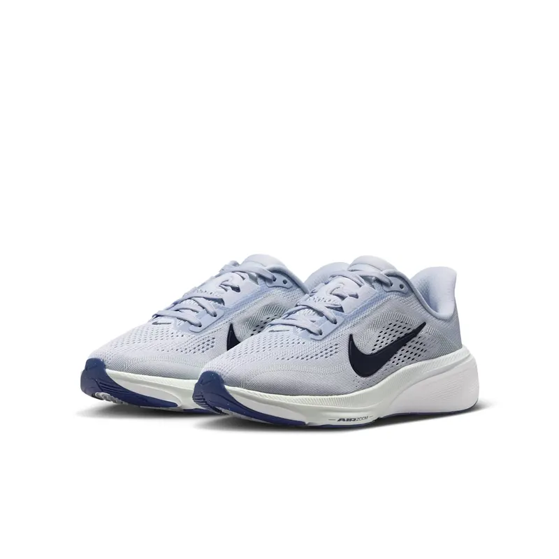 Nike Pegasus Football Grey/Football Grey/Barely Green/Blue Void (IH2306-004)