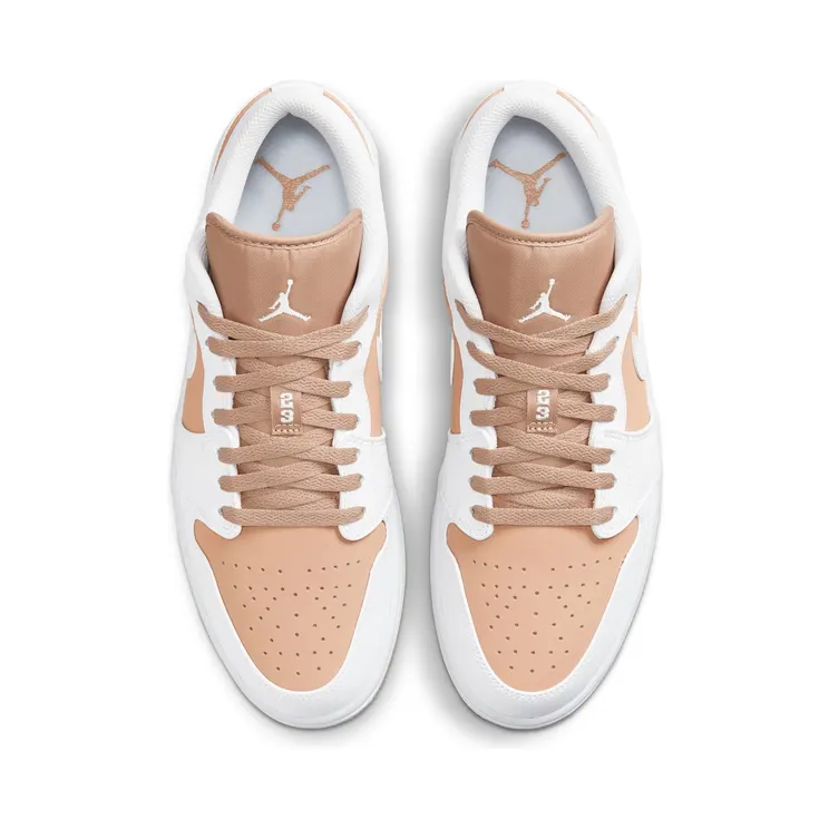 air-jordan-1 DN6999-100