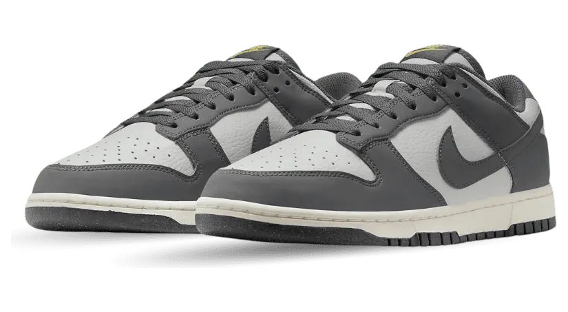 nike-dunk FZ4621-001