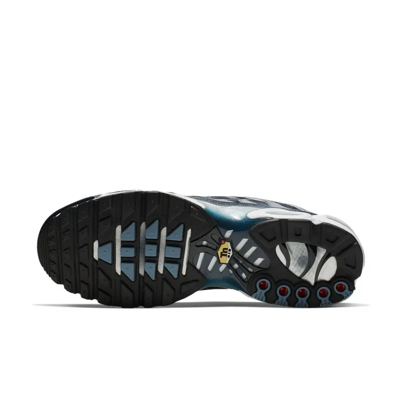 Nike Air Max Plus Palm Trees Blue Blue Shadow/Obsidian-Medium Denim-White-Black (CI2301-400)