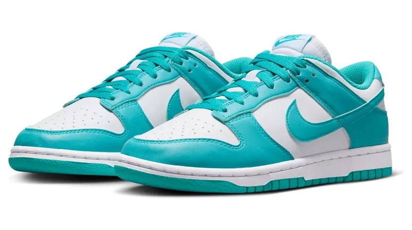 nike-dunk DD1873-105
