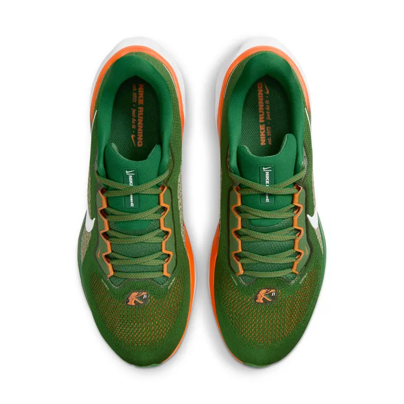 Nike Air Zoom Pegasus 41 FAMU (FZ5112-300)
