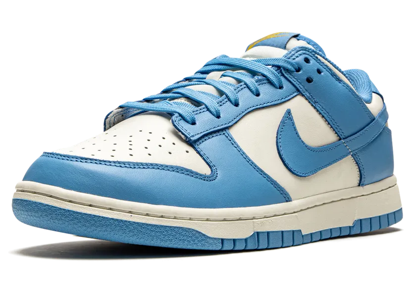 nike-dunk DD1503-100