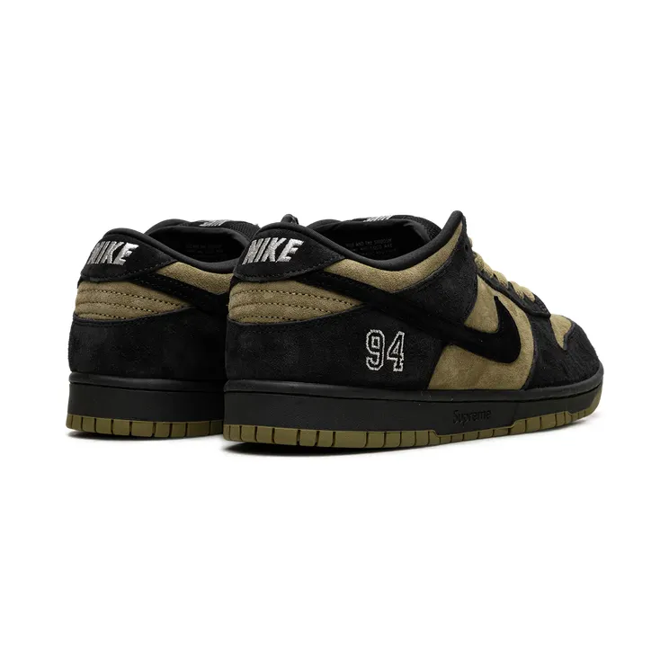 nike-dunk-sb HQ8487-300