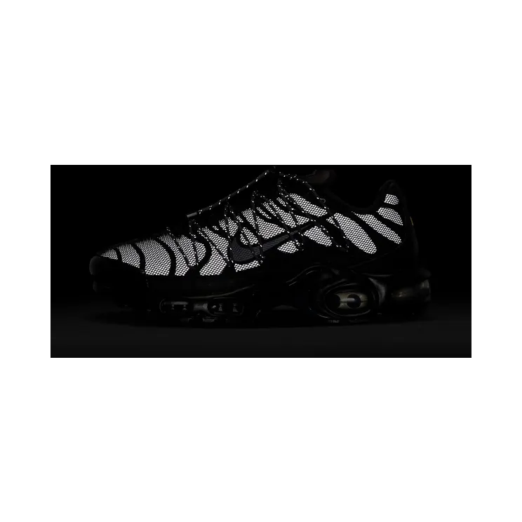 nike-air-max FZ2770-001