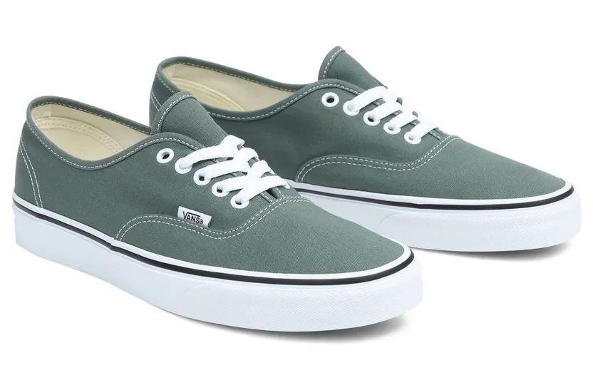 VANS Color Theory Authentic Schoenen Groen (VN0A5JMPYQW)