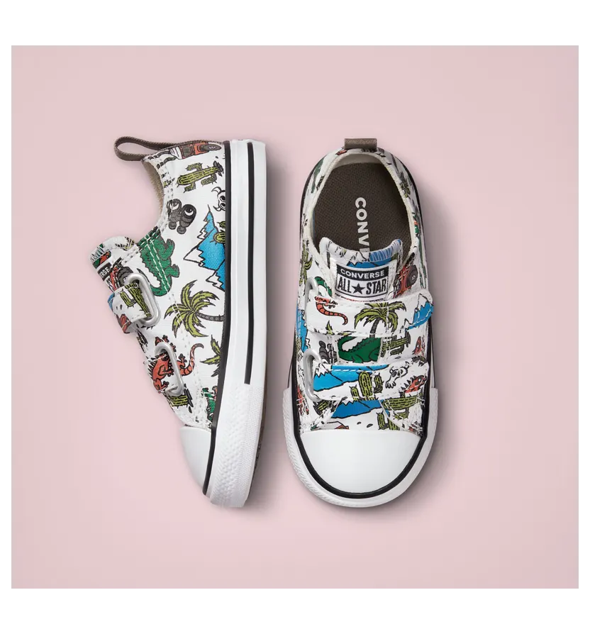 converse-chuck-taylor-all-star A02455C