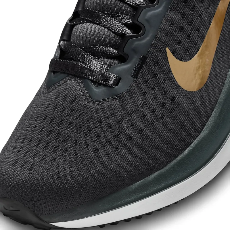 Nike Air Winflo 10 Anthracite Metallic Gold (DV4023-005)