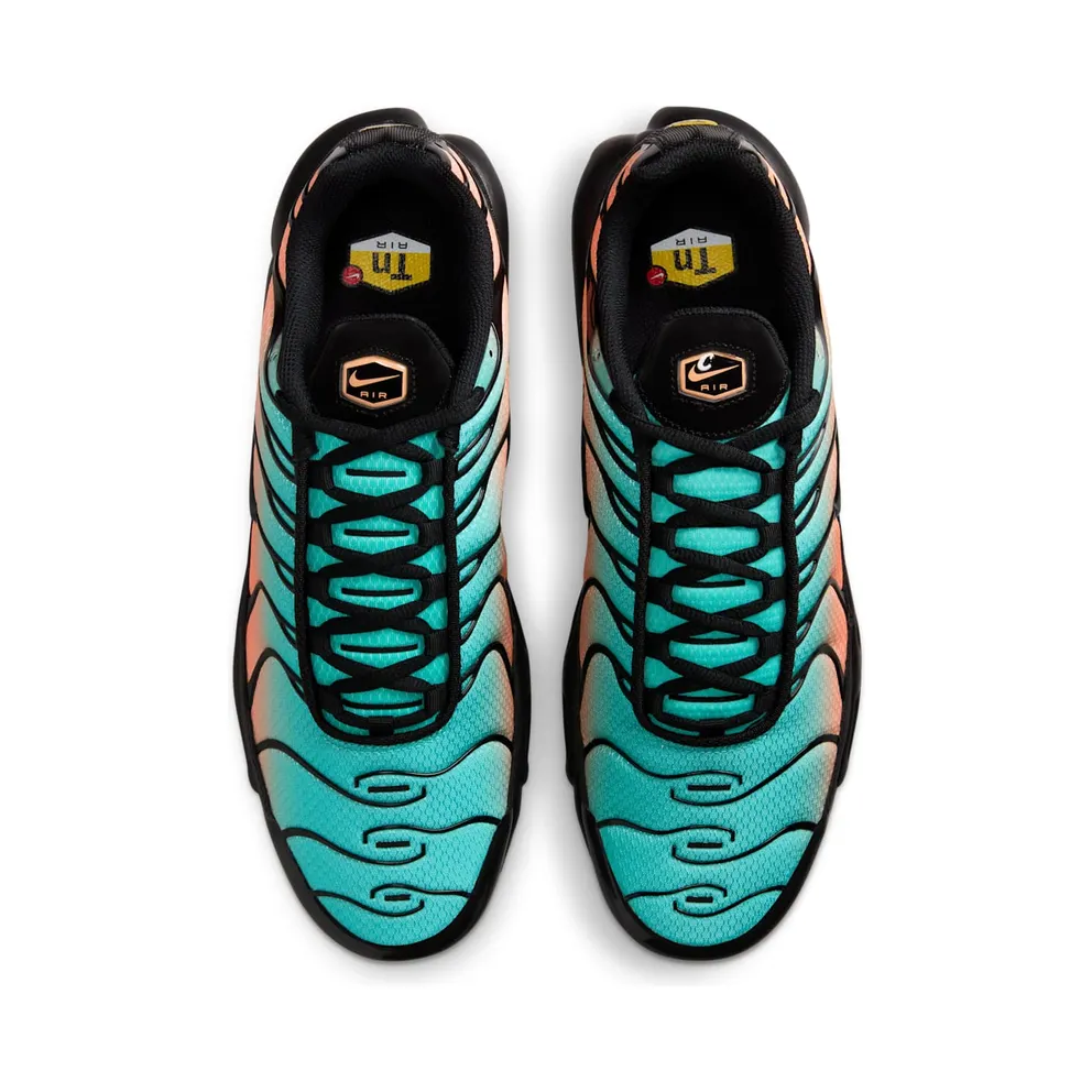 Nike Air Max Plus “South Beach” (DM0032-022)