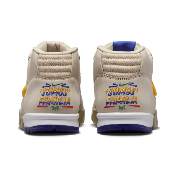 air-jordan-trainer-1 DR9904-200