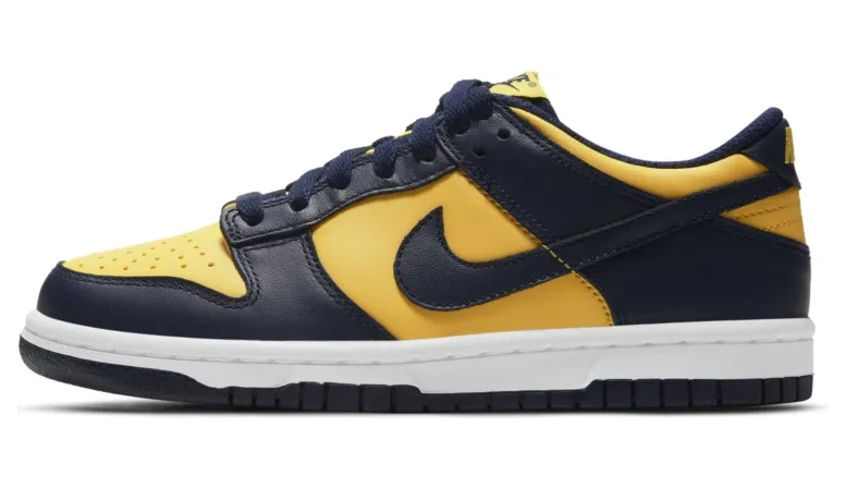 nike-dunk CW1590-700