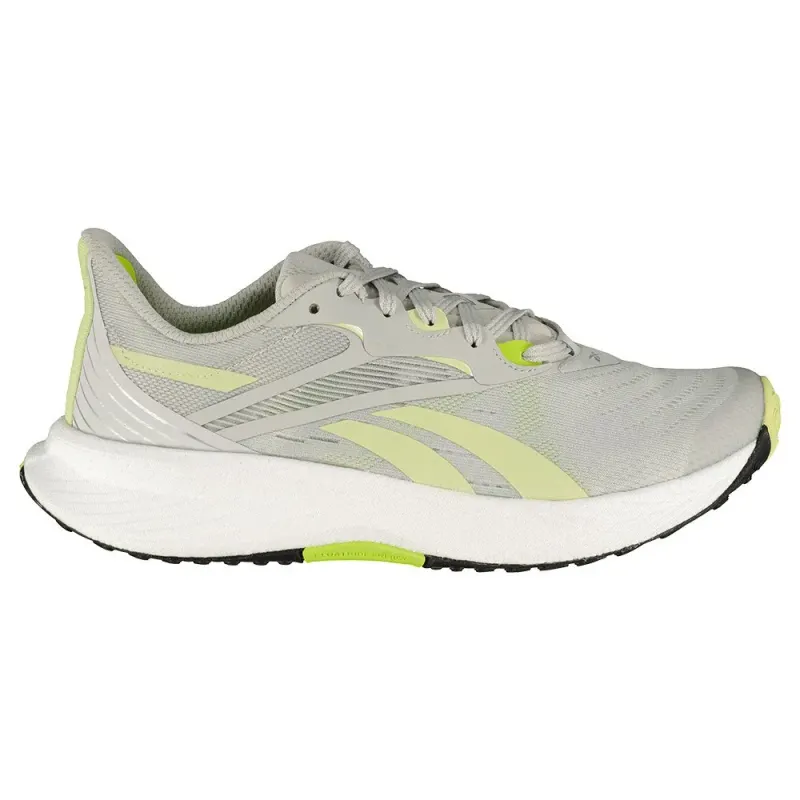 Reebok Classics Reebok Floatride Grey (IE4641)