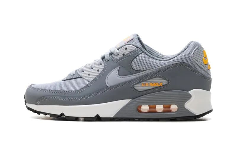 Nike Air Max 90 “Cool Grey Sundial” (HV6224-002)