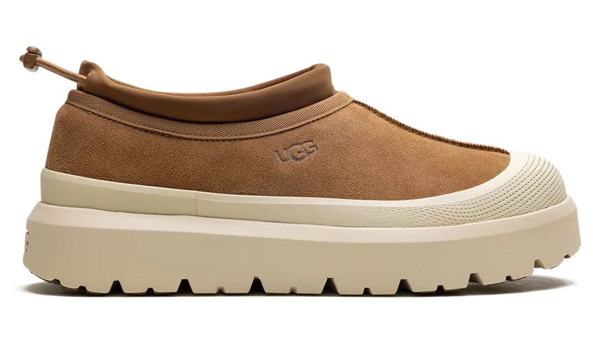 ugg-tasman 1144096-CWTC