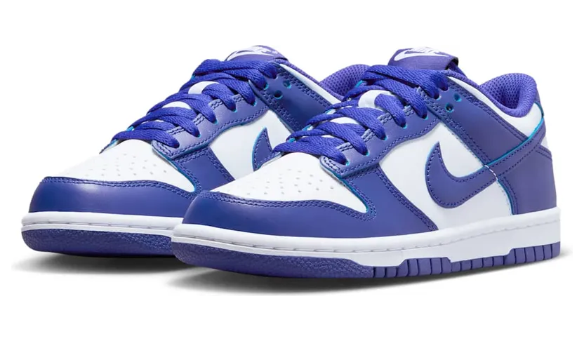nike-dunk FB9109-106