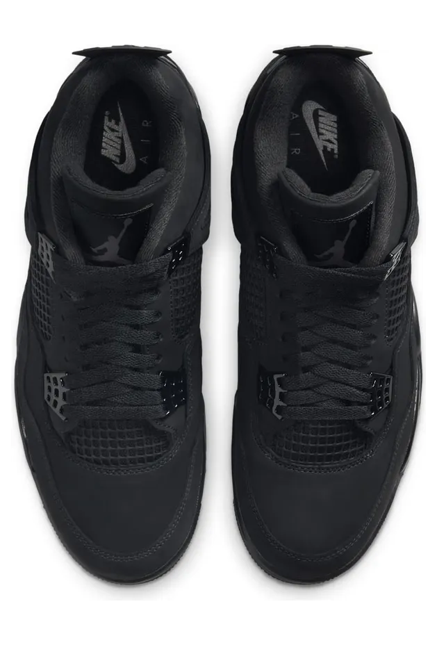 air-jordan-4 FV5029-010