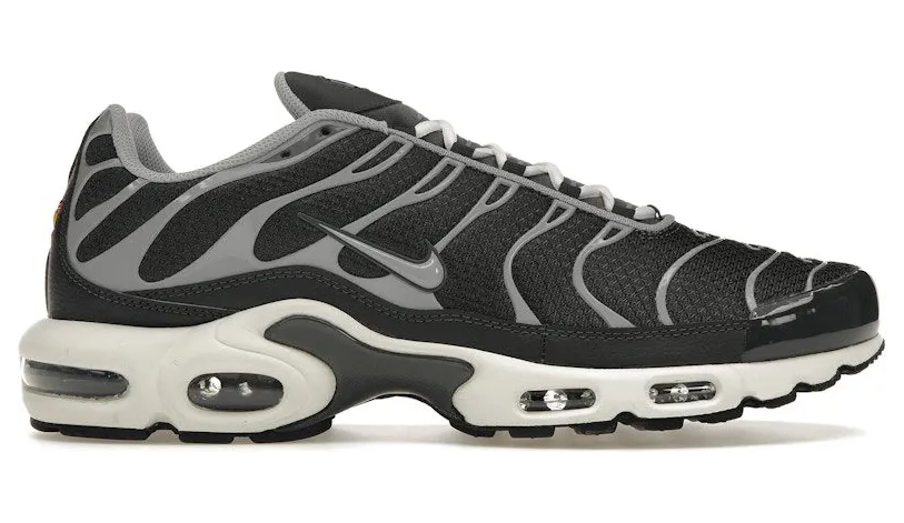 Nike Air Max Plus Greyscale Cool Grey (DZ2655-001)