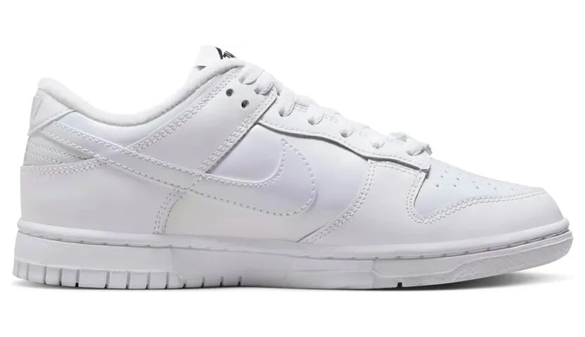 nike-dunk FD8683-100