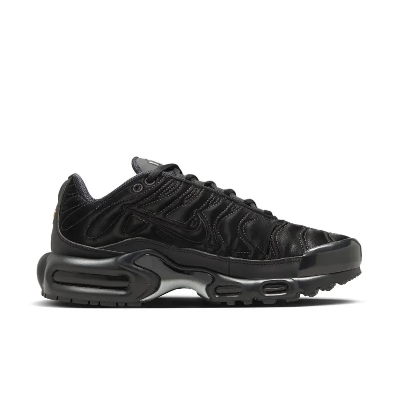 Nike Air Max Plus Black/Anthracite/Sail/Black (FV1169-001)