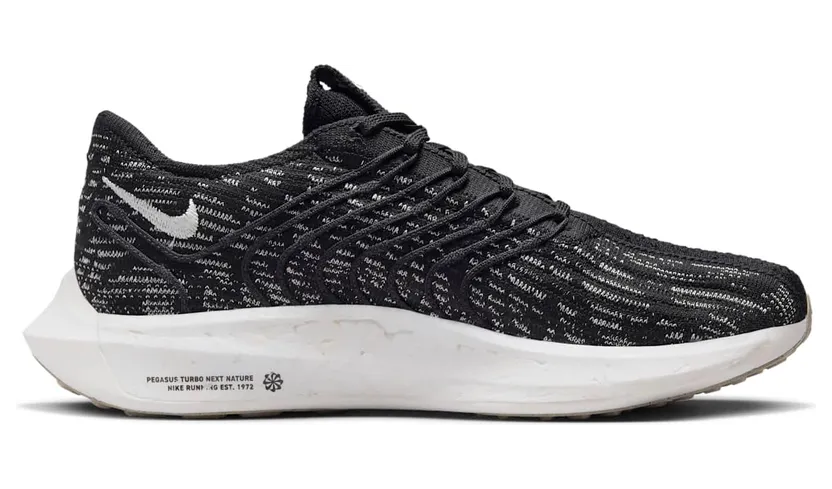 nike-air-pegasus DM3414-001