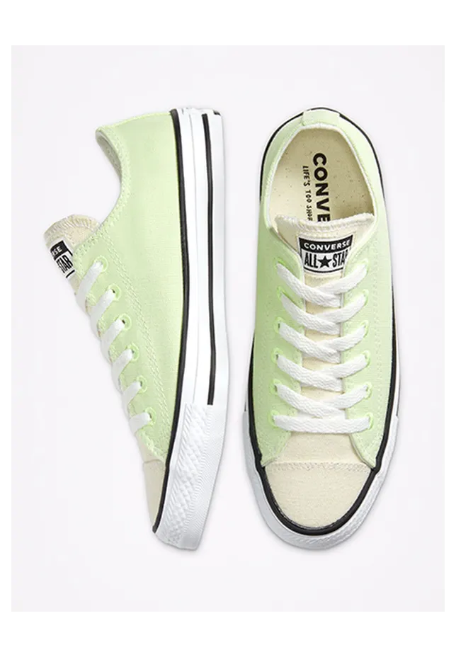 converse-chuck-taylor-all-star 167647C