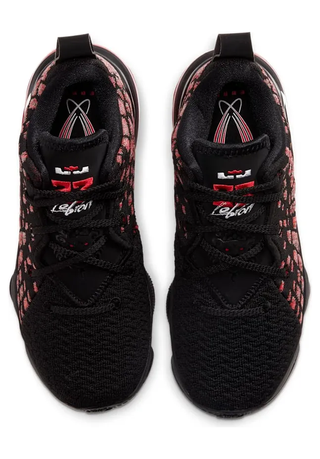 nike-lebron-17 BQ5595-006