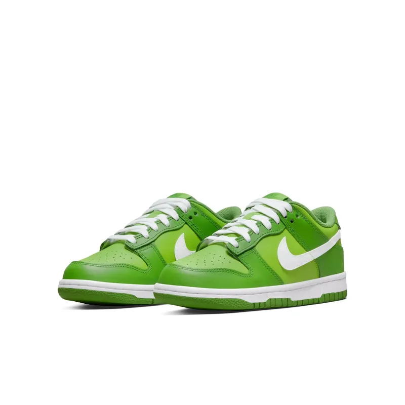 Nike Dunk Low Chlorophyll (DH9765-301)